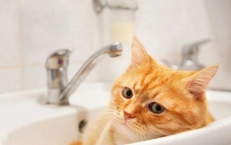 Опубликован график отключения горячей воды в Минске