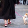 Запреты на выгул собак массово вводят в Иране. Как это объясняют власти?