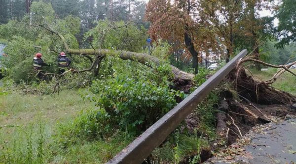 Непогода нарушает электроснабжение в 72 населенных пунктах Гомельской области