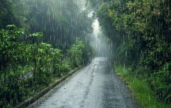 В Эмиратах научились экологично “призывать” дождь