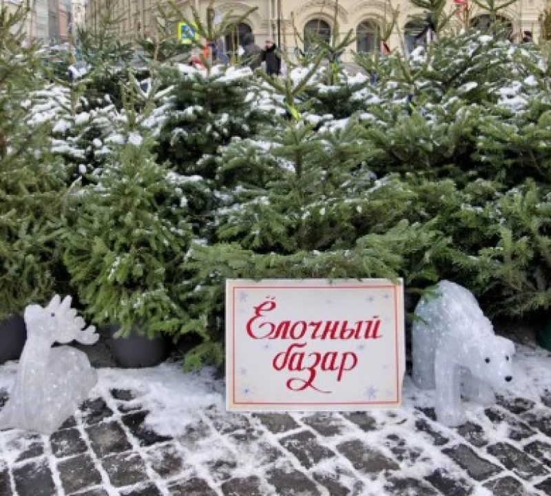 МАРТ начинает проверять цены на новогодние елки