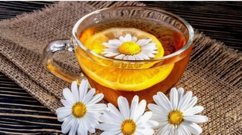 Пенсионерка из Барановичей вырастила коноплю для лечебного чая