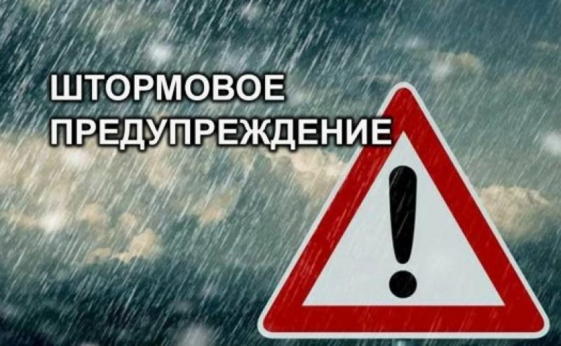 Туман окутывает Беларусь вместо зимних метелей