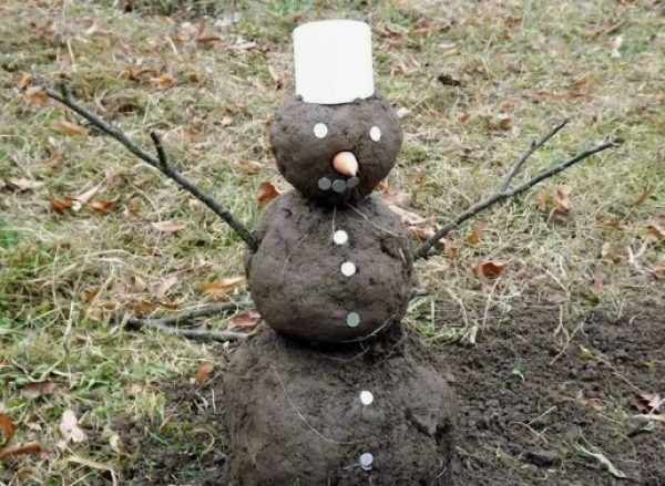 Принесет ли декабрь зиму: погода на старте недели удивляет