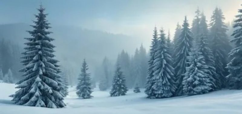 Циклон засыплет снегом юго-восток Беларуси 16 февраля