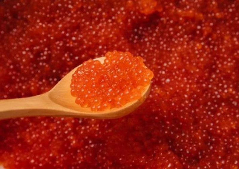 В Беларуси откроют производство красной икры для разведения форели