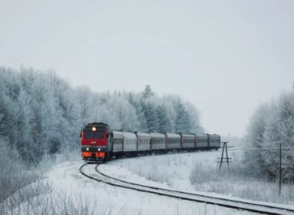 Поезд столкнулся с животным