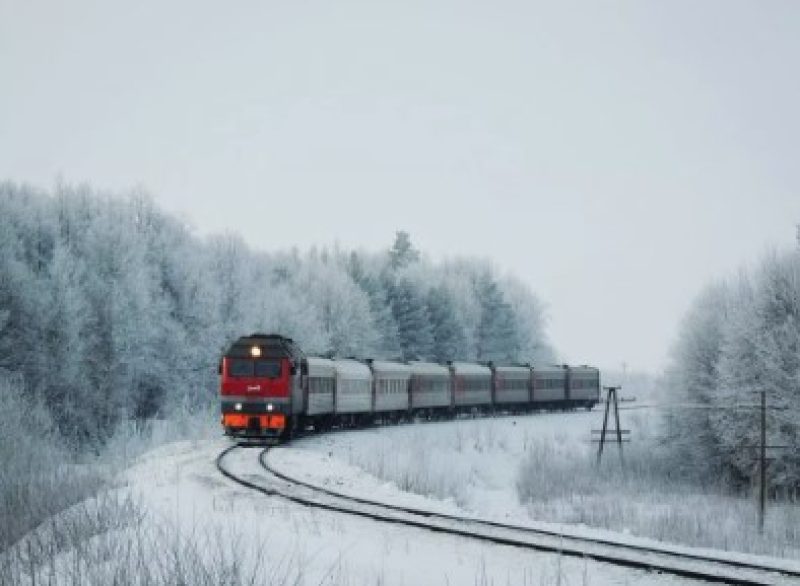 Поезд столкнулся с животным