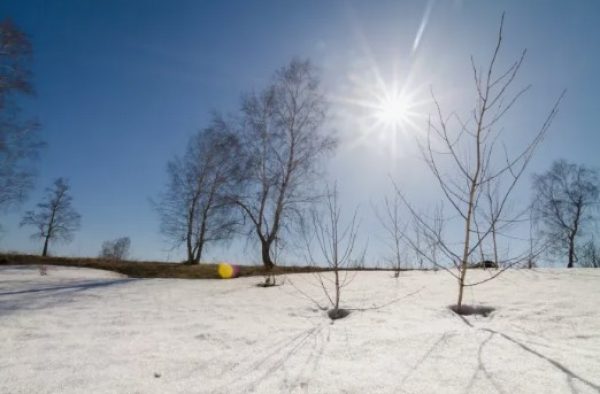Весна приходит с юга: синоптики пообещали до +15 градусов в первый день марта