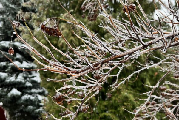 Желтый уровень опасности поделит Беларусь на две половины