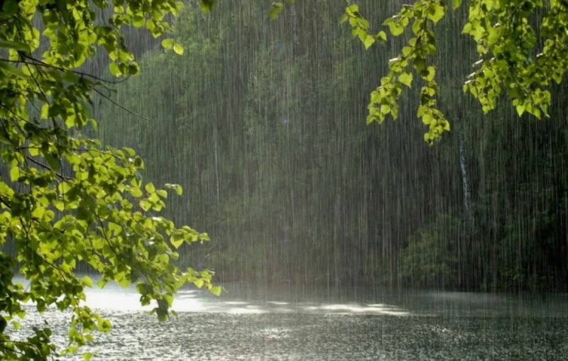 Синоптики пересмотрели прогноз на апрельские выходные в Беларуси