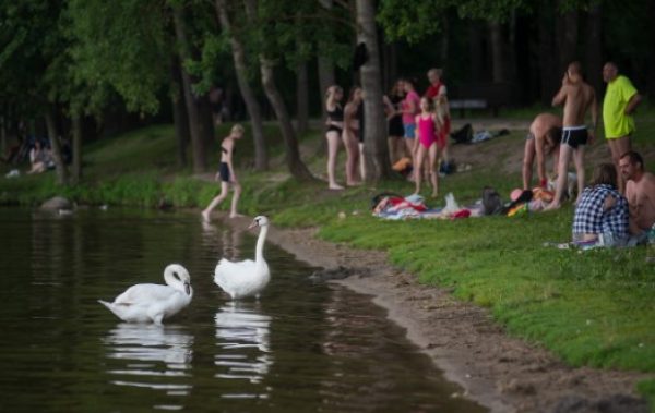 Не ходите к Комсомольскому озеру и пляжу в Дроздах: там обрабатывают от клещей